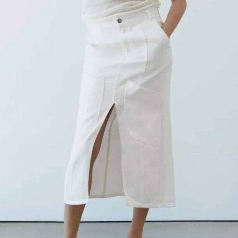 Zara Midi Skirt
